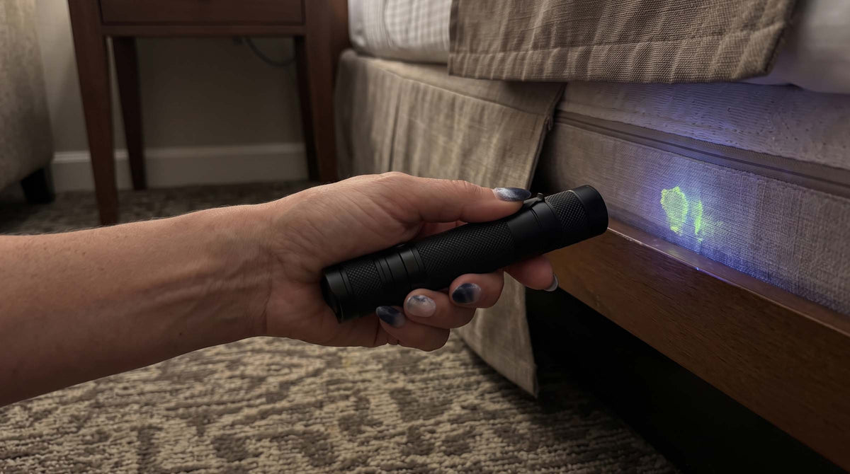 Best Compact 365nm UV Flashlight for Pet Stains, Hotel Rooms, and Home Inspection